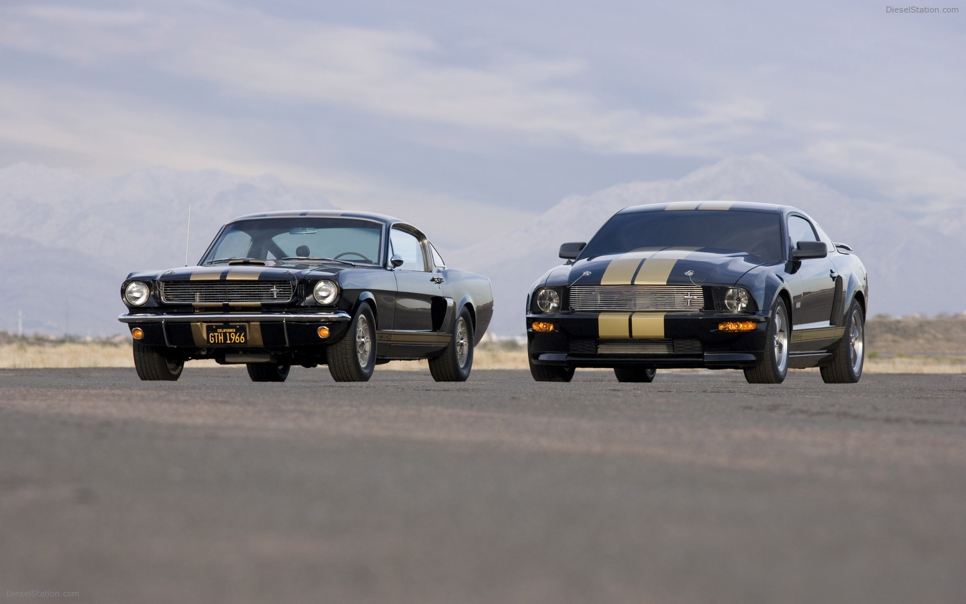 Ford Shelby GT-H